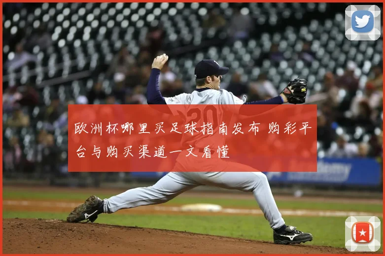 欧洲杯哪里买足球指南发布 购彩平台与购买渠道一文看懂