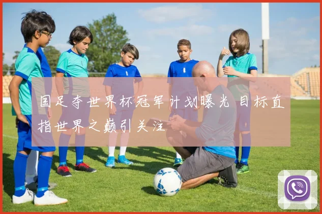 国足夺世界杯冠军计划曝光 目标直指世界之巅引关注