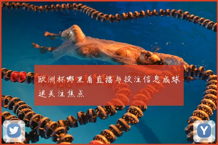 欧洲杯哪里看直播与投注信息成球迷关注焦点