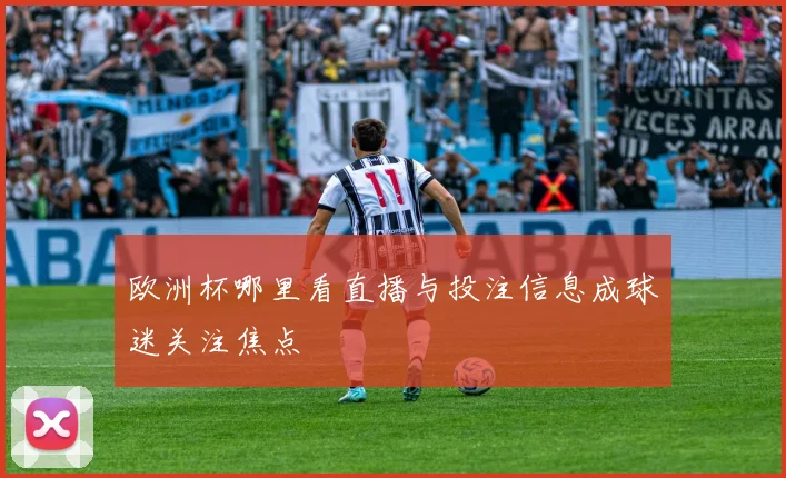 欧洲杯哪里看直播与投注信息成球迷关注焦点