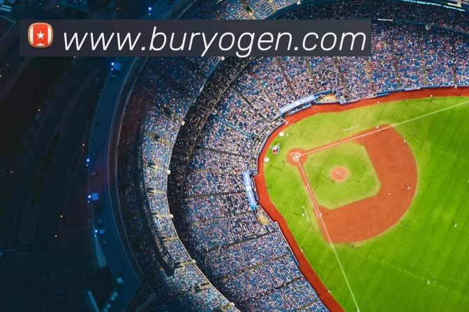 奖项证书